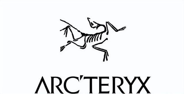 的全球十大运动品牌盘点下！千赢国际首页入口屹立不倒(图2)